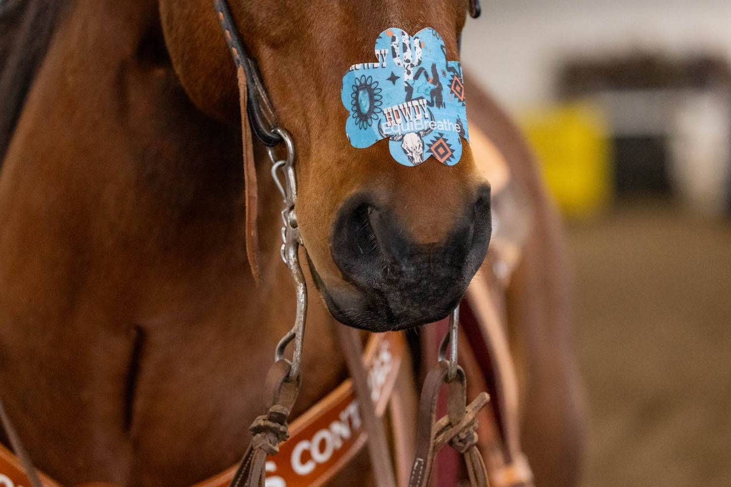 EquiBreathe™ Equine Nasal Patch - Howdy