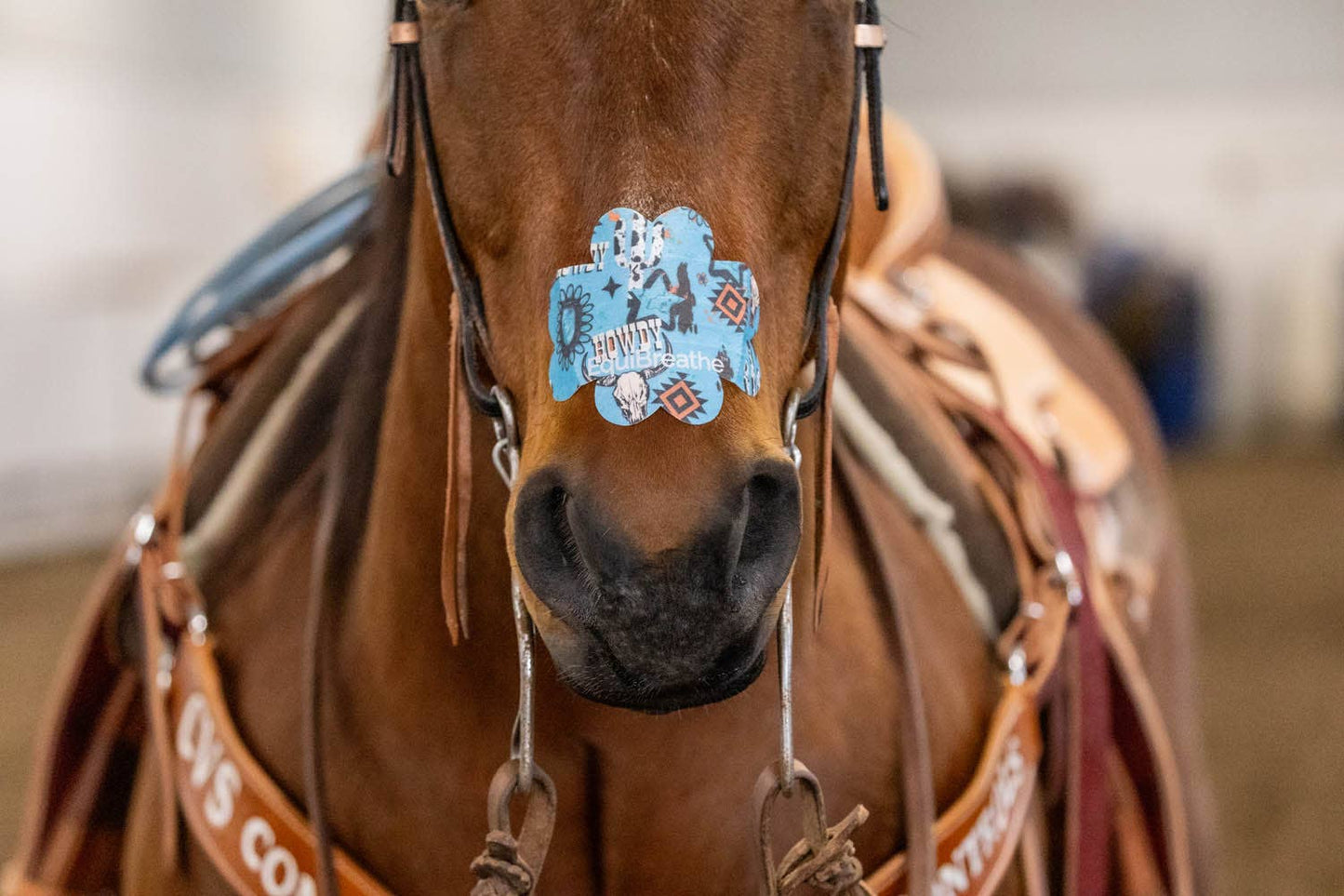 EquiBreathe™ Equine Nasal Patch - Howdy