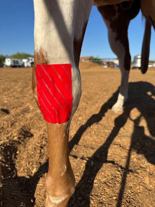 That Red Patch - Pack of 3