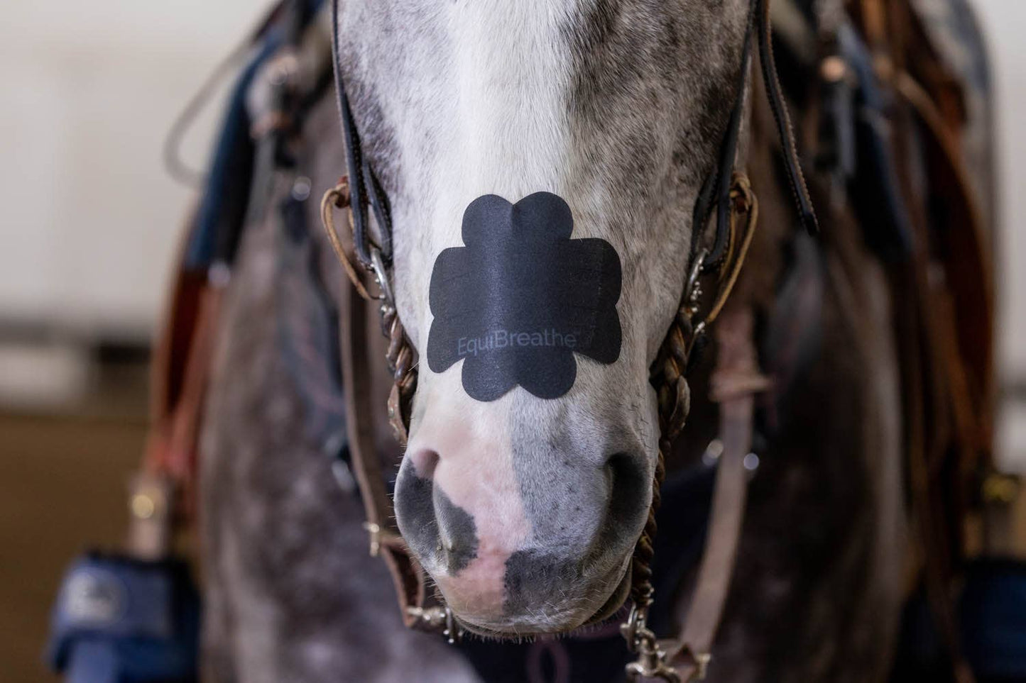 EquiBreathe™ Equine Nasal Patch - Black