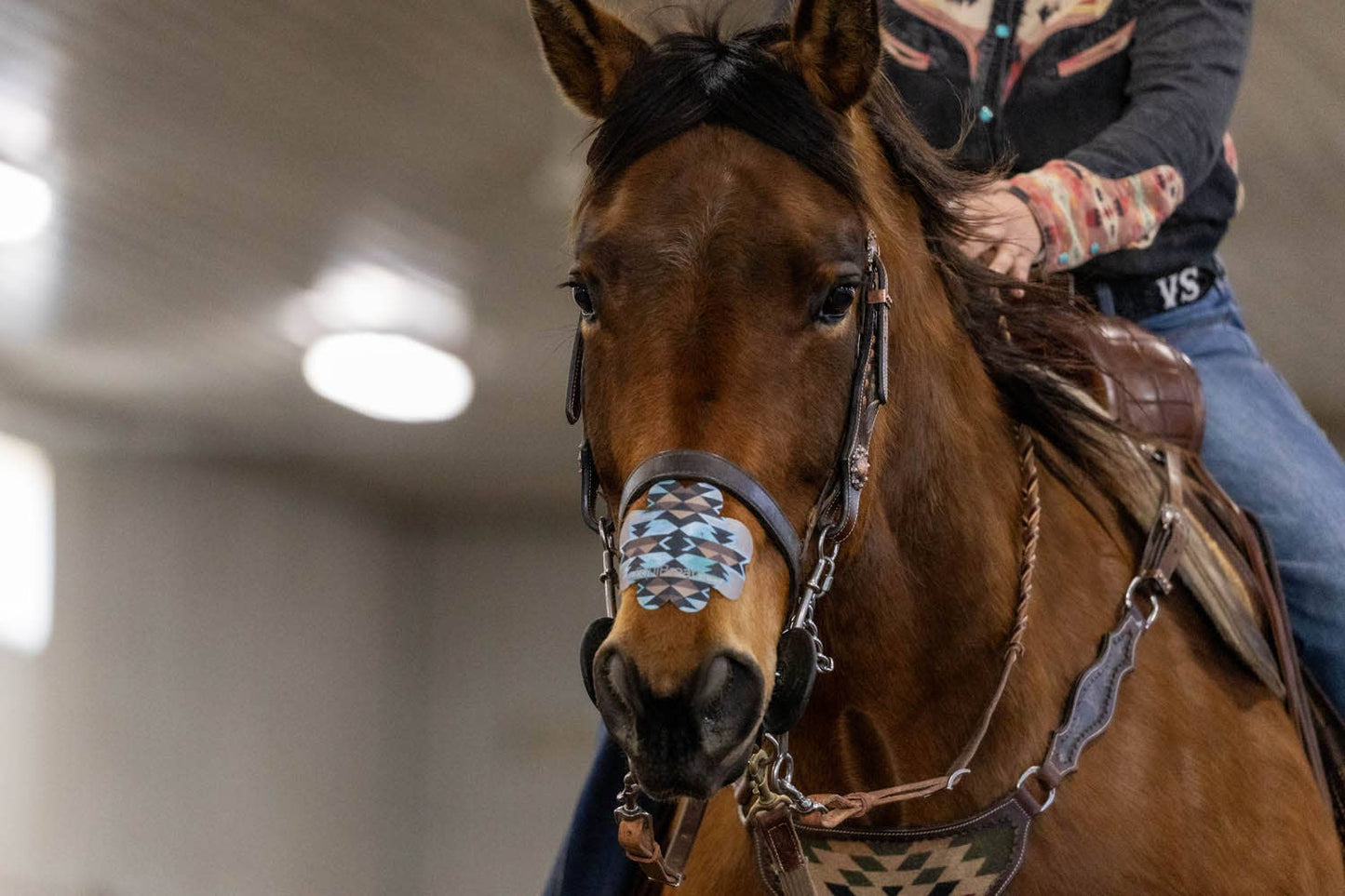 EquiBreathe™ Equine Nasal Patch - Aztec